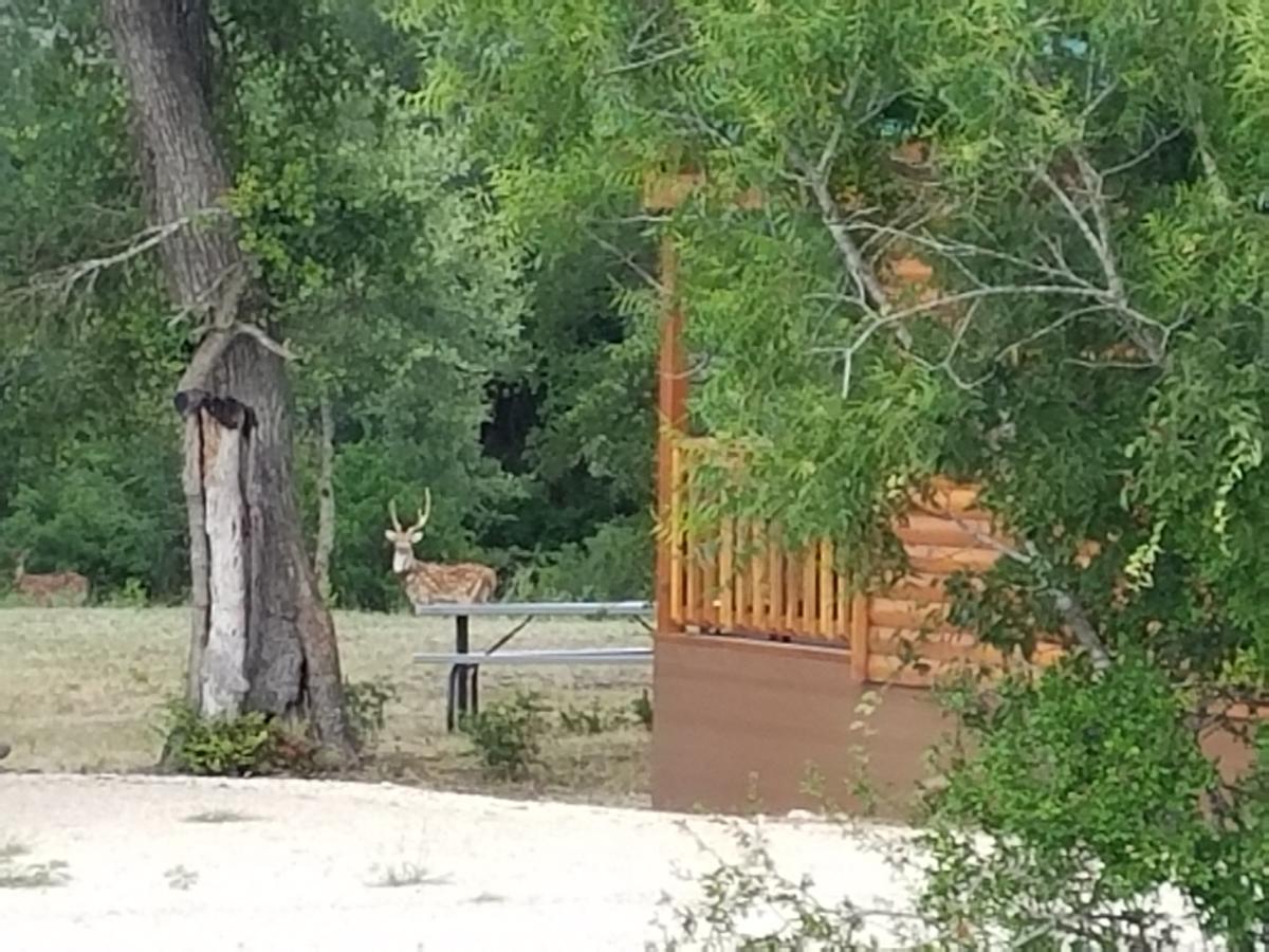 Al'S Hideaway Cabin And Rv Space, Llc Pipe Creek Exterior photo